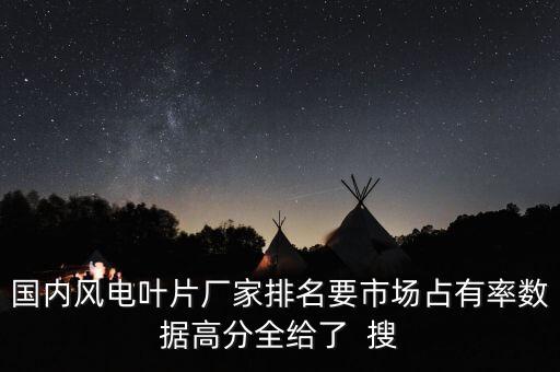 國內(nèi)風(fēng)電葉片廠家排名要市場占有率數(shù)據(jù)高分全給了  搜