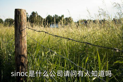 sinoc是什么公司請(qǐng)問有人知道嗎