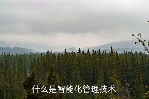 什么是智能化產(chǎn)業(yè)科技公司，秦泰盛智能化科技是做什么的