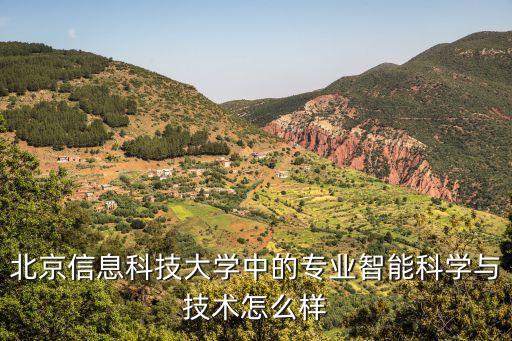 北京信息科技大學中的專業(yè)智能科學與技術怎么樣