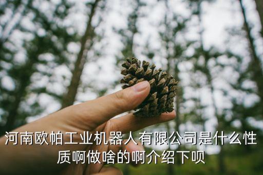 河南歐帕工業(yè)機(jī)器人有限公司是什么性質(zhì)啊做啥的啊介紹下唄