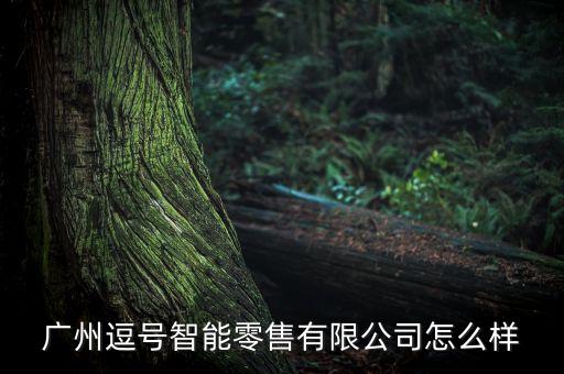 廣州逗號智能零售有限公司怎么樣