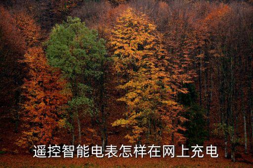 深科技智能電表怎么充電，遙控智能電表怎樣在網(wǎng)上充電
