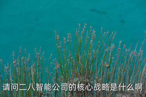 請問二八智能公司的核心戰(zhàn)略是什么啊
