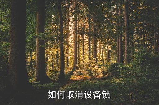 如何取消設(shè)備鎖