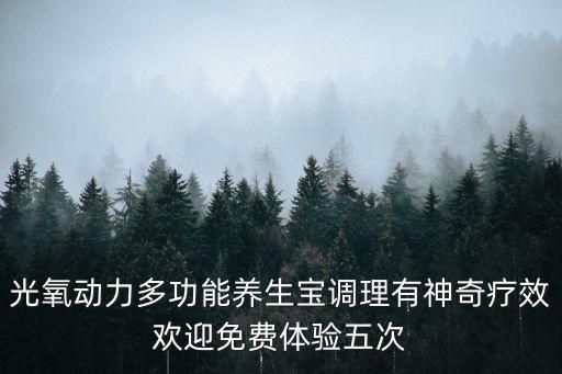 光氧動力多功能養(yǎng)生寶調(diào)理有神奇療效歡迎免費體驗五次