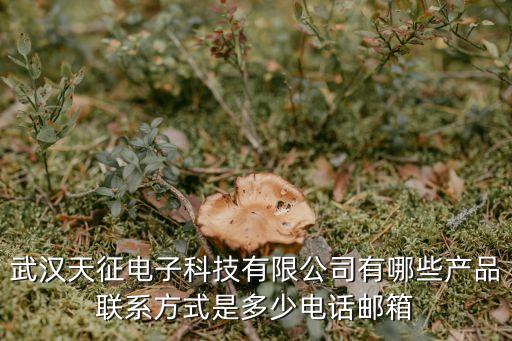 武漢天征電子科技有限公司有哪些產品聯(lián)系方式是多少電話郵箱