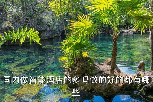 國內(nèi)做智能酒店的多嗎做的好的都有哪些