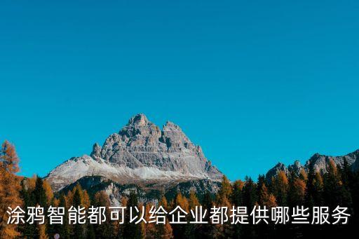 涂鴉智能都可以給企業(yè)都提供哪些服務(wù)