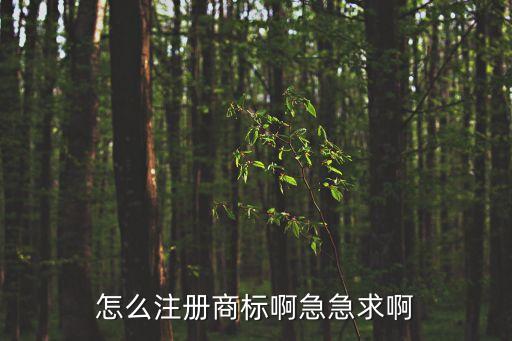 怎么注冊商標啊急急求啊