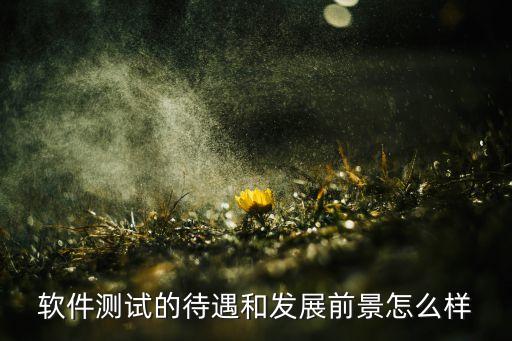 軟件測(cè)試的待遇和發(fā)展前景怎么樣