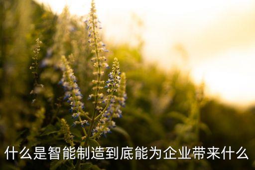 什么是智能制造到底能為企業(yè)帶來什么
