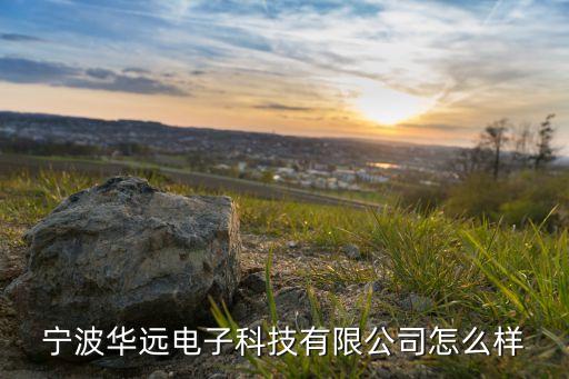寧波華遠(yuǎn)電子科技有限公司怎么樣