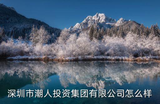 深圳市潮人投資集團(tuán)有限公司怎么樣