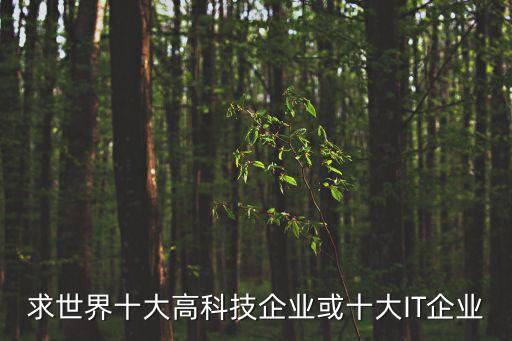 求世界十大高科技企業(yè)或十大IT企業(yè)