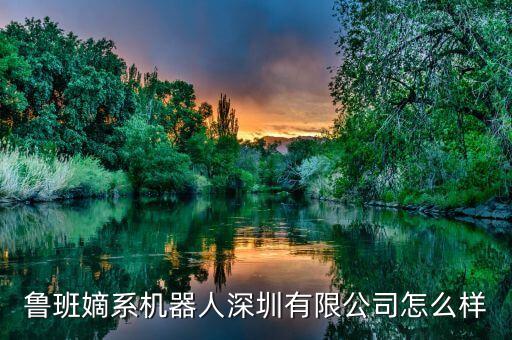 魯班嫡系機器人深圳有限公司怎么樣