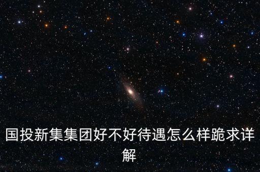 國投智能科技集團(tuán)待遇如何，國投新集集團(tuán)好不好待遇怎么樣跪求詳解