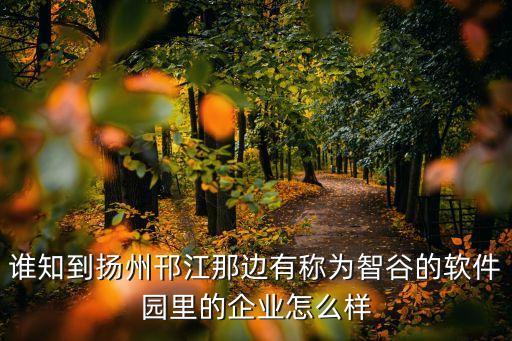 揚(yáng)州卓爾智能科技怎么樣，誰知到揚(yáng)州邗江那邊有稱為智谷的軟件園里的企業(yè)怎么樣