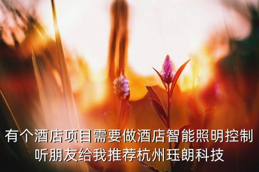 有個酒店項目需要做酒店智能照明控制聽朋友給我推薦杭州玨朗科技