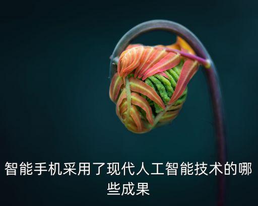 智能手機(jī)采用了現(xiàn)代人工智能技術(shù)的哪些成果