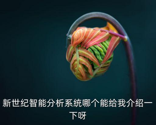 新世紀(jì)智能科技怎么樣，新世紀(jì)智能分析系統(tǒng)哪個能給我介紹一下呀