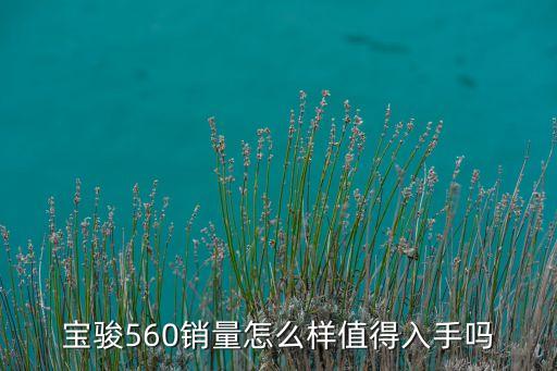 寶駿560銷量怎么樣值得入手嗎