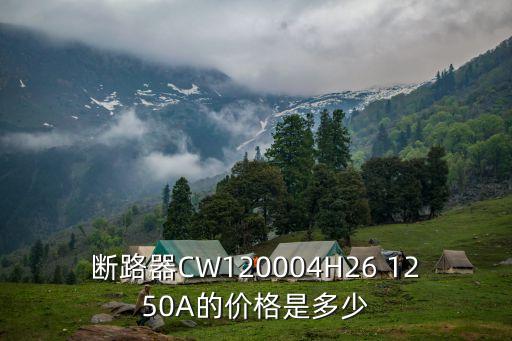 科技館智能斷路器多少錢，cm100m3300塑殼斷路器多少錢1個