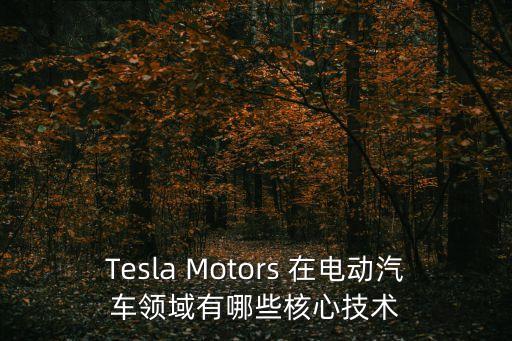 特斯拉有哪些智能和高科技，Tesla Motors 在電動(dòng)汽車領(lǐng)域有哪些核心技術(shù)