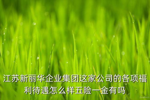 江蘇麗華智能科技工資如何，江蘇新麗華企業(yè)集團(tuán)這家公司的各項(xiàng)福利待遇怎么樣五險(xiǎn)一金有嗎