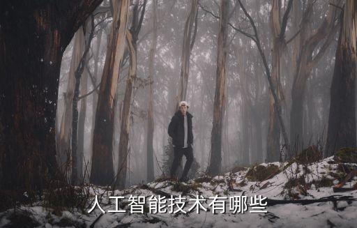 日常人工智能科技有哪些，人工智能包括哪些方面