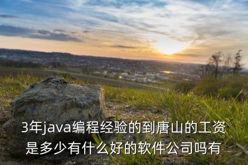 3年java編程經(jīng)驗(yàn)的到唐山的工資是多少有什么好的軟件公司嗎有