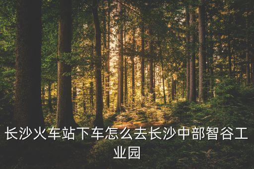 長(zhǎng)沙智能科技園怎么去，長(zhǎng)沙火車站下車怎么去長(zhǎng)沙中部智谷工業(yè)園