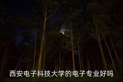 西安電子科技大學(xué)的電子專(zhuān)業(yè)好嗎