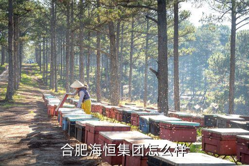 海恒智能科技怎么樣啊，深圳海恒智能技術(shù)有限公司怎么樣
