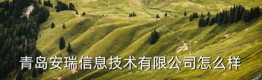 青島安瑞信息技術(shù)有限公司怎么樣