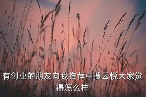 有創(chuàng)業(yè)的朋友向我推薦中搜云悅大家覺(jué)得怎么樣