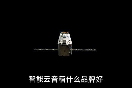 智能云音箱什么品牌好