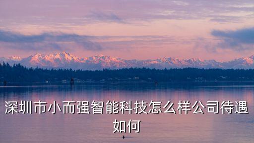 深圳市小而強(qiáng)智能科技怎么樣公司待遇如何