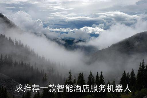 求推薦一款智能酒店服務(wù)機(jī)器人