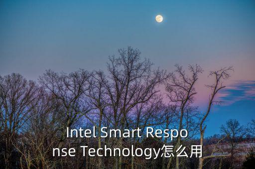 Intel Smart Response Technology怎么用