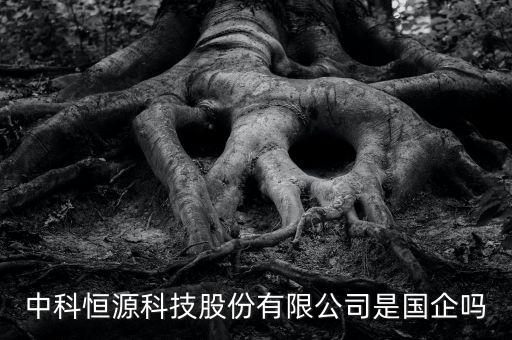 中科恒源科技股份有限公司是國(guó)企嗎