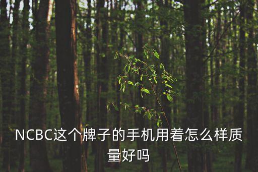 黑芝麻智能科技 怎么樣，誰(shuí)用過(guò)Mobizen遠(yuǎn)程控制軟件和我說(shuō)下怎么樣啊