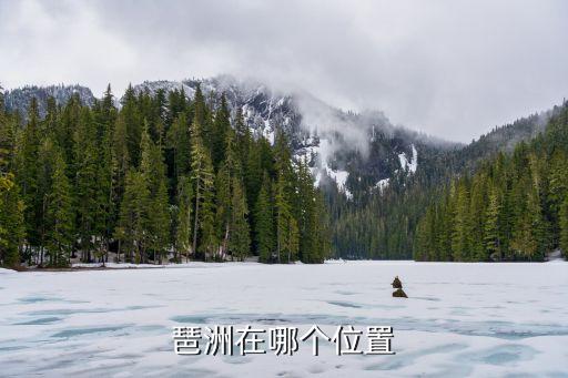 琶洲在哪個(gè)位置