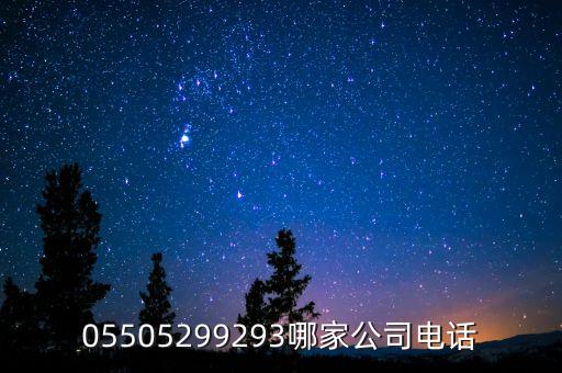 05505299293哪家公司電話