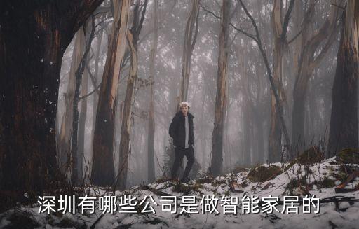 深圳都有哪些智能科技公司，深圳有哪些智能家居公司