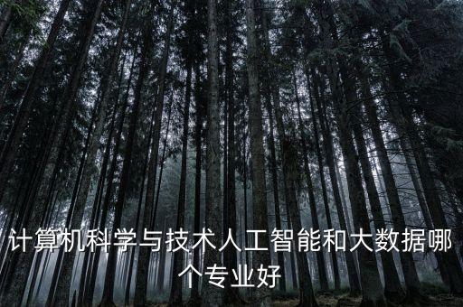 計(jì)算機(jī)科學(xué)與技術(shù)人工智能和大數(shù)據(jù)哪個(gè)專(zhuān)業(yè)好