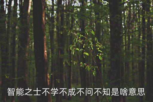 高科技智能語音是什么意思，siri是什么據(jù)說很智能嗎