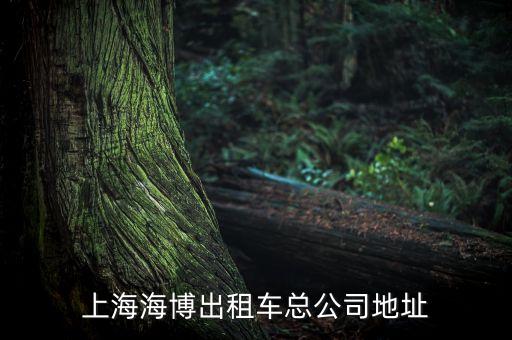 上海海博出租車總公司地址