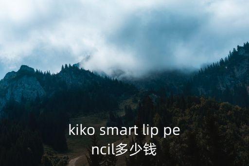 有道黑科技智能筆多少錢，kiko smart lip pencil多少錢