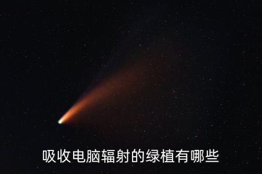 吸收電腦輻射的綠植有哪些